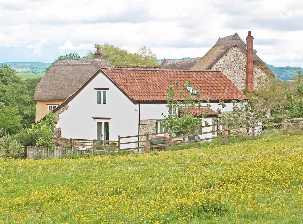 Old Orchard Cottage Colyton Eksteriør billede